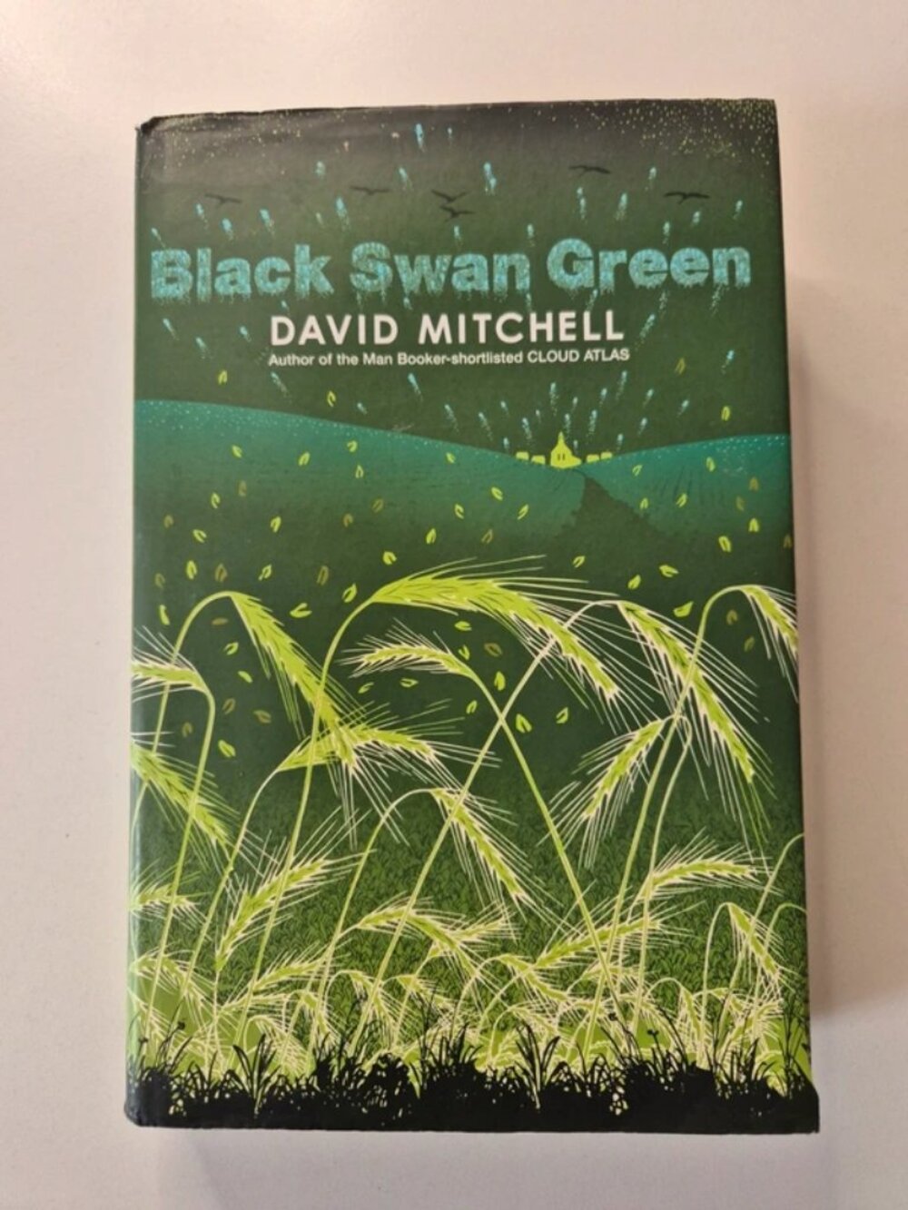 Black Swan Green by David Mitchell